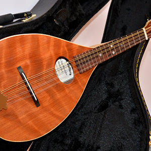 Mandolin Gallery