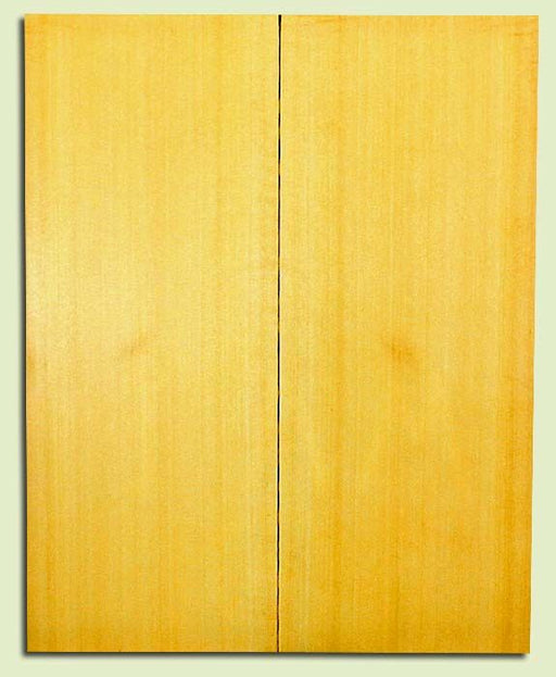 Alaska Yellow Cedar, Tenor or Baritone Ukulele Soundboard, Med. to Fine Grain