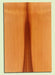 Western Redcedar, Acoustic Guitar Soundboard, Classical Size, Very Fine Grain