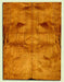 Port Orford Cedar, Tenor Ukulele Soundboard, Med. to Fine Grain Salvaged Old Growth